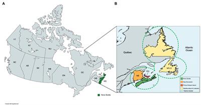 Evaluating the effectiveness of lockdowns and restrictions during SARS-CoV-2 variant waves in the Canadian province of Nova Scotia